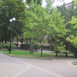 /images/photos/medium/1d5dcb40dd3c731d7b05e0b9dca0cc1c.jpg